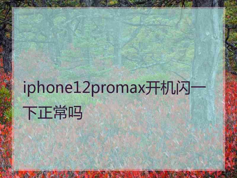 iphone12promax开机闪一下正常吗