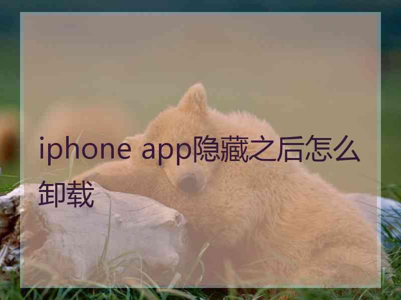 iphone app隐藏之后怎么卸载