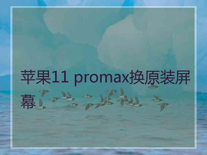 苹果11 promax换原装屏幕