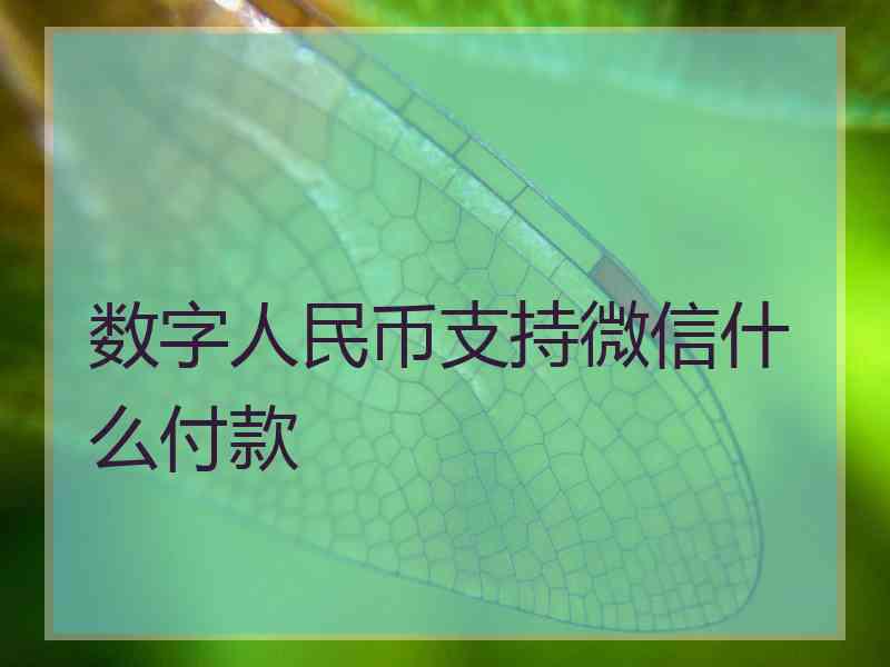 数字人民币支持微信什么付款