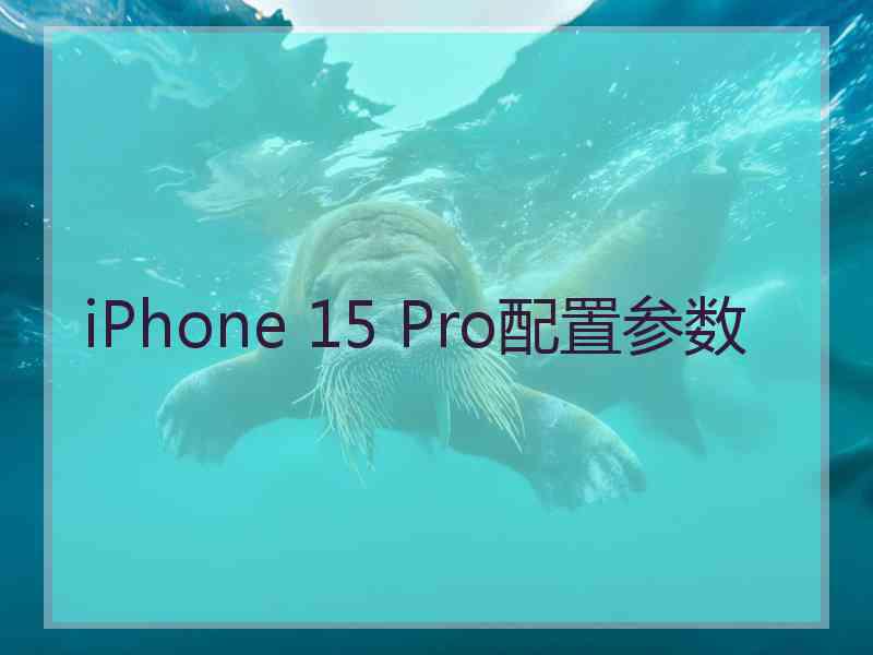 iPhone 15 Pro配置参数