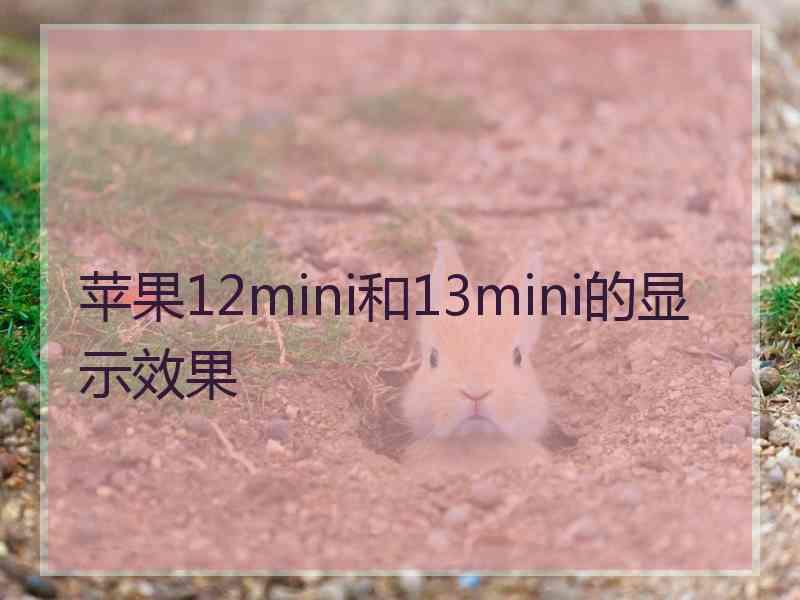 苹果12mini和13mini的显示效果