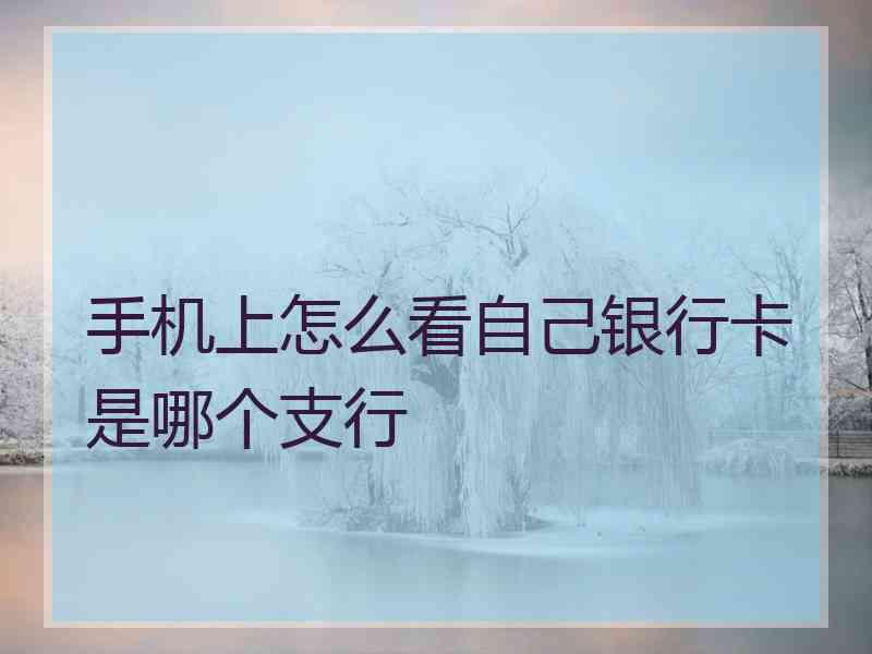 手机上怎么看自己银行卡是哪个支行