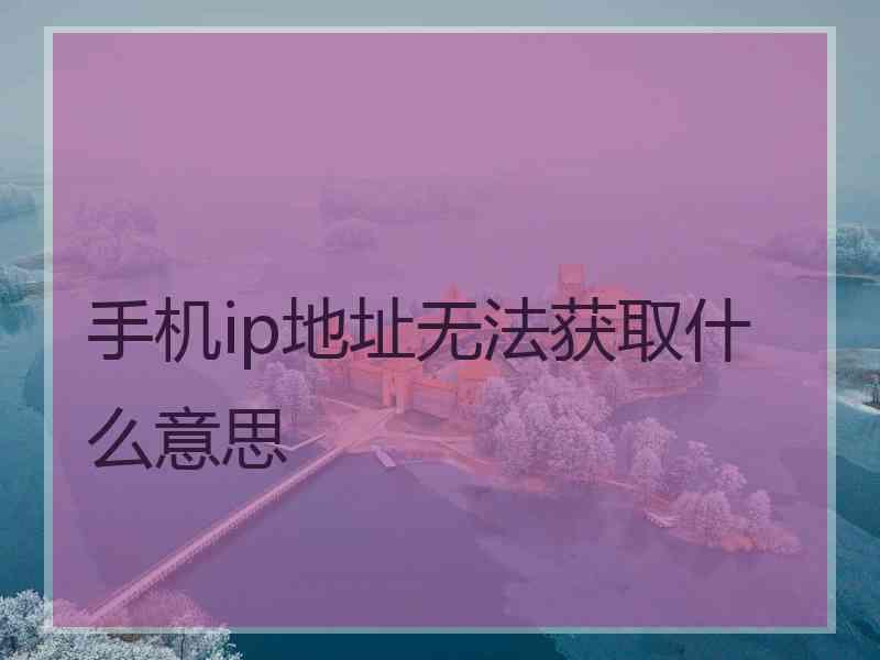 手机ip地址无法获取什么意思