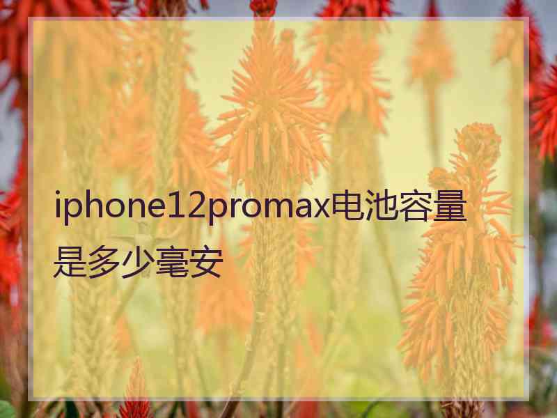 iphone12promax电池容量是多少毫安