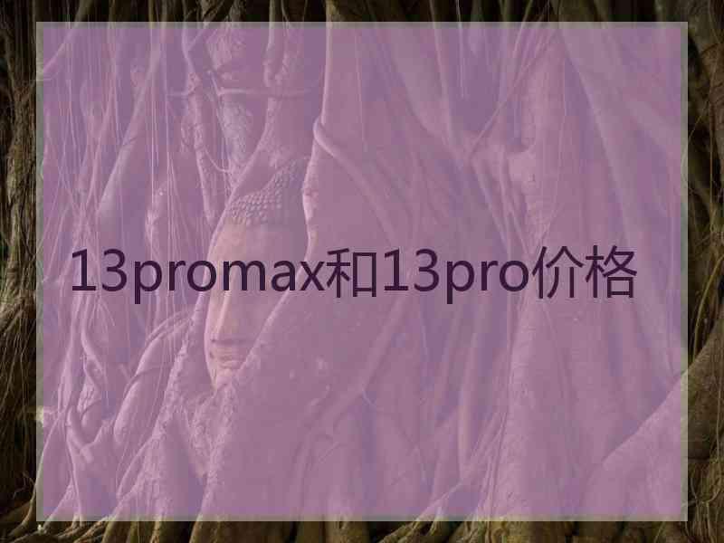 13promax和13pro价格