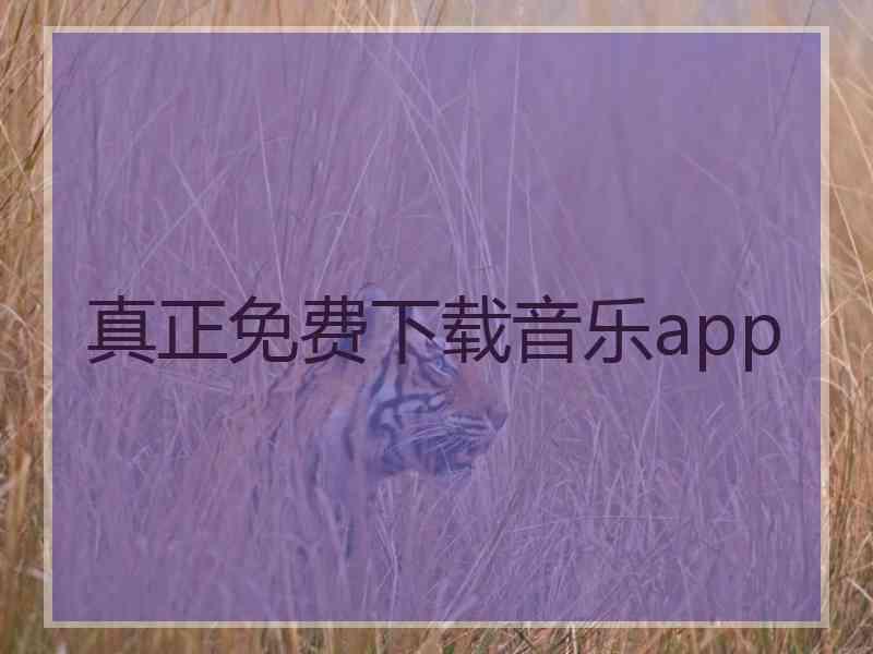 真正免费下载音乐app