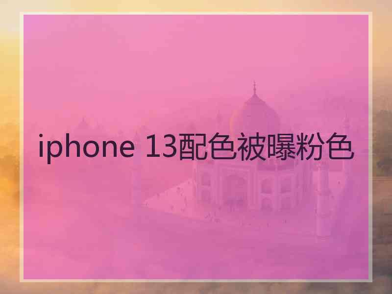 iphone 13配色被曝粉色