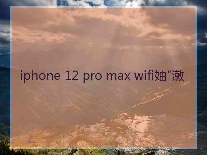 iphone 12 pro max wifi妯″潡