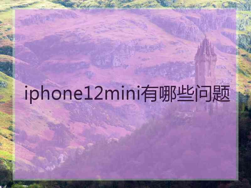 iphone12mini有哪些问题