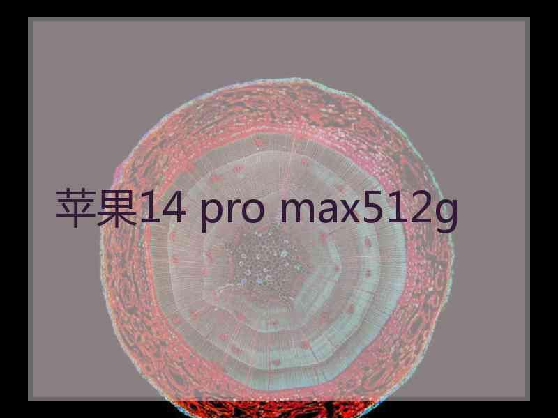 苹果14 pro max512g