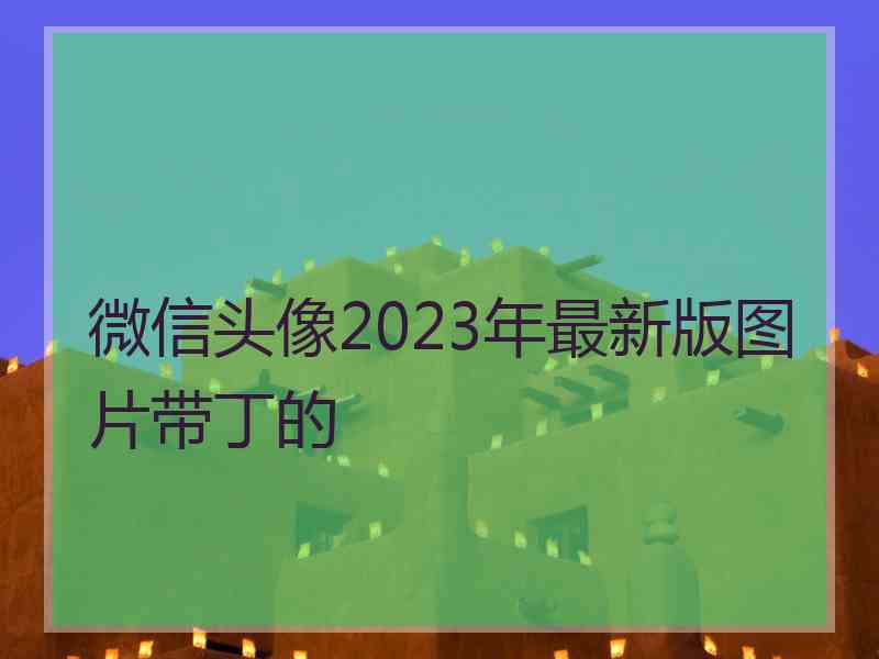 微信头像2023年最新版图片带丁的