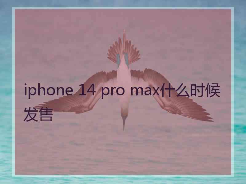 iphone 14 pro max什么时候发售