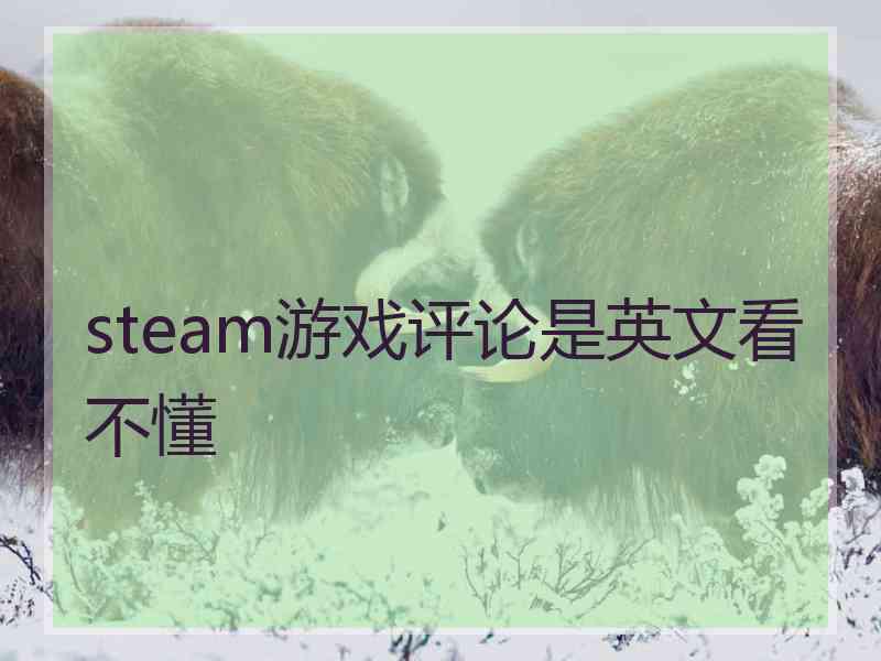 steam游戏评论是英文看不懂