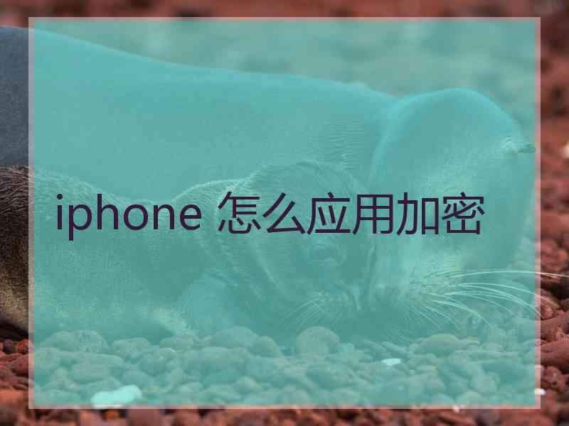 iphone 怎么应用加密