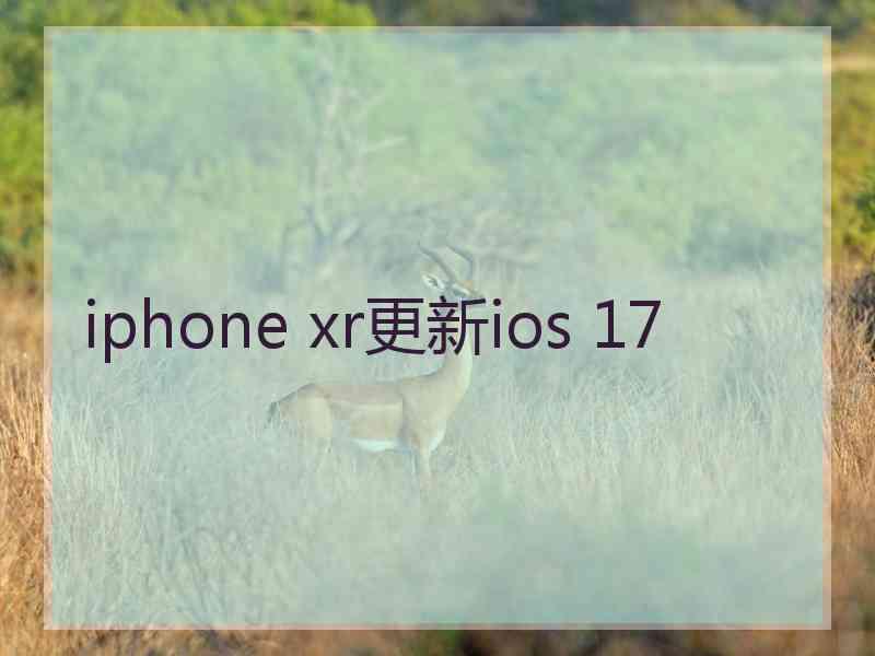 iphone xr更新ios 17