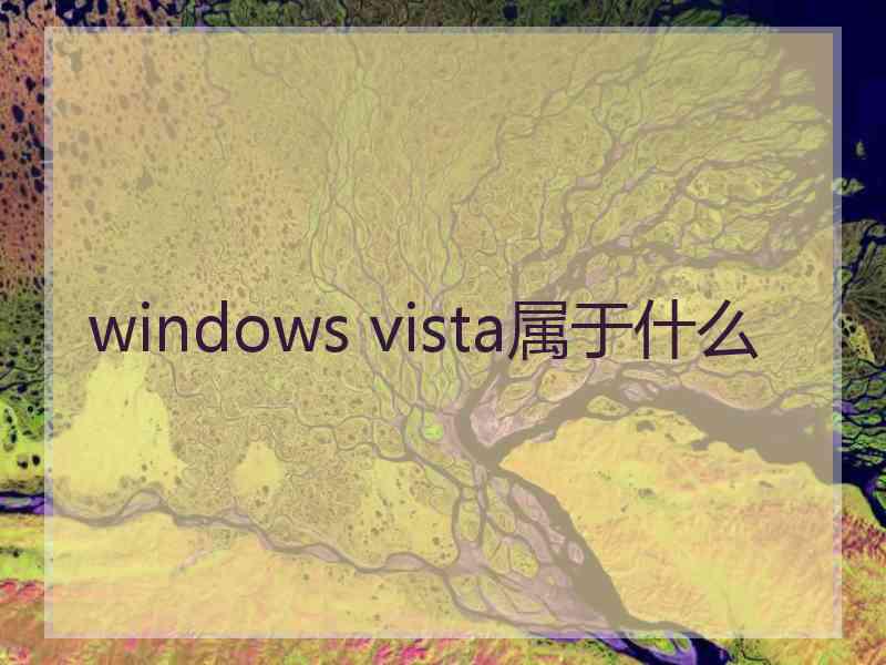 windows vista属于什么