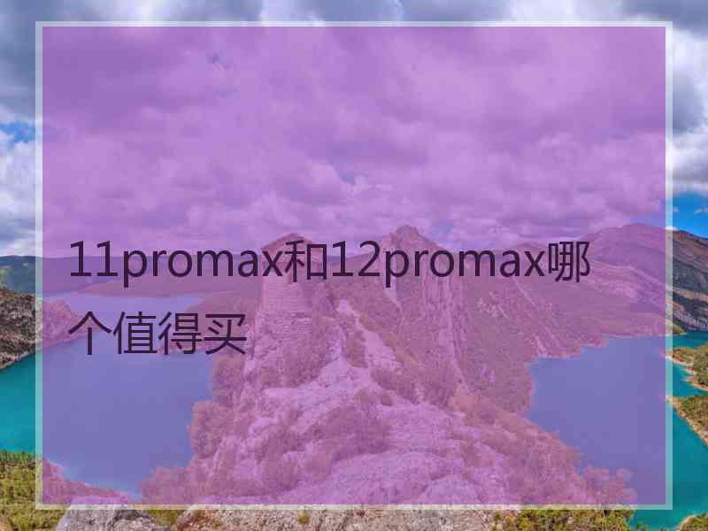 11promax和12promax哪个值得买