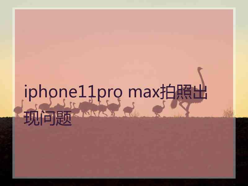 iphone11pro max拍照出现问题