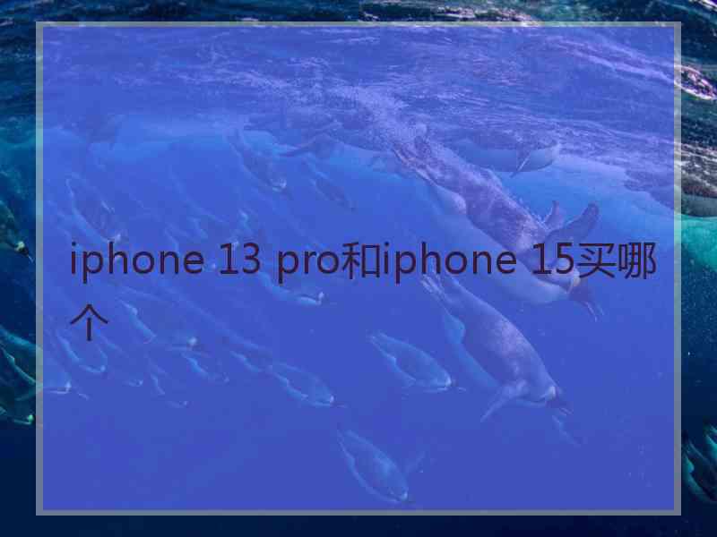 iphone 13 pro和iphone 15买哪个