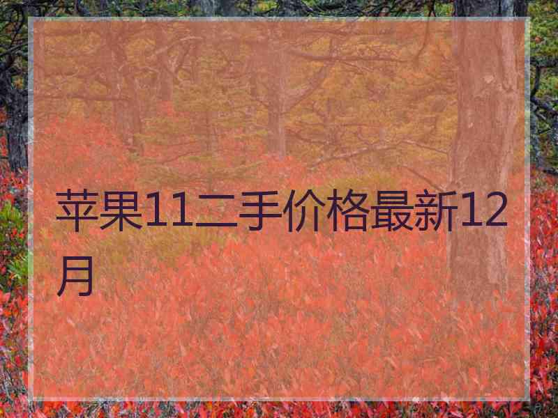 苹果11二手价格最新12月