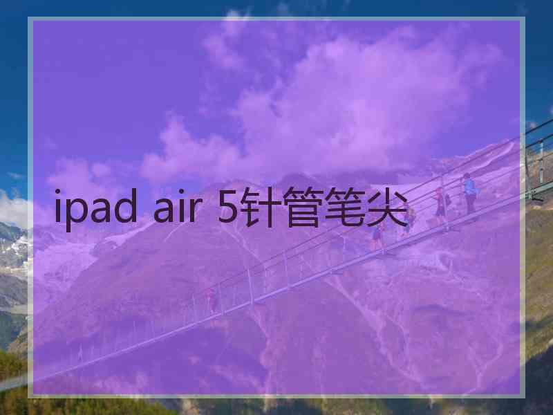 ipad air 5针管笔尖