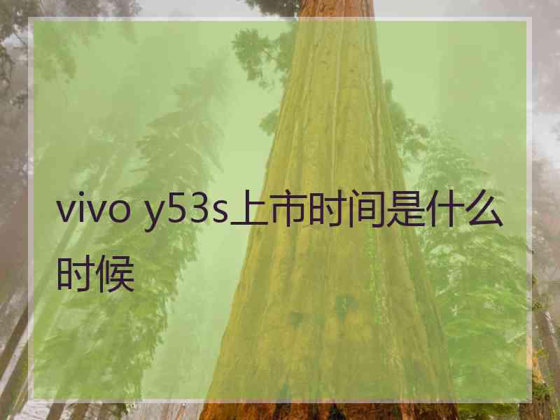 vivo y53s上市时间是什么时候