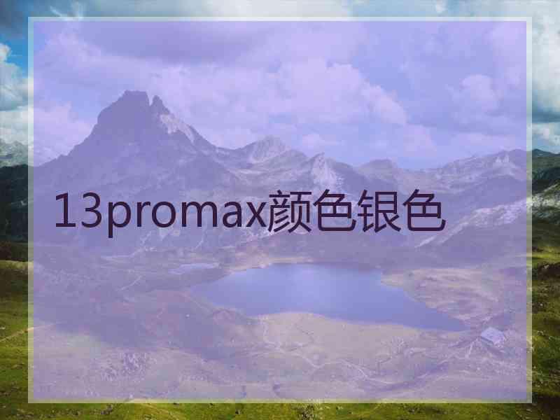 13promax颜色银色