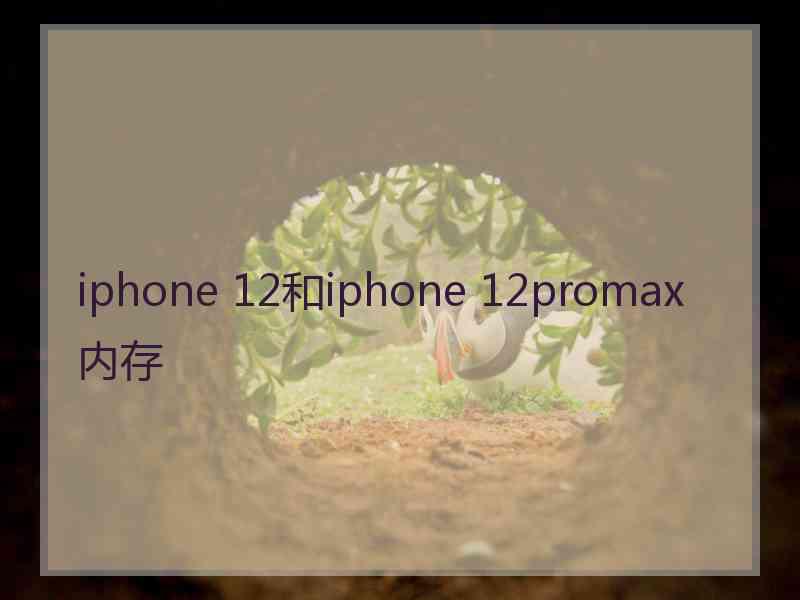 iphone 12和iphone 12promax 内存