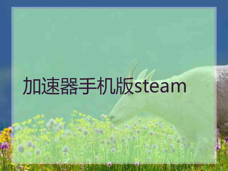 加速器手机版steam