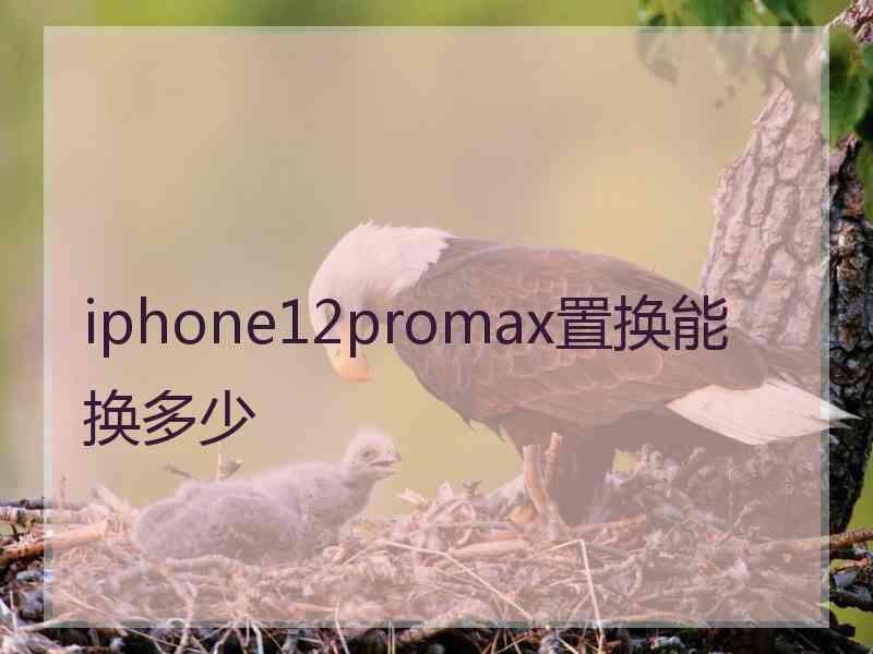 iphone12promax置换能换多少