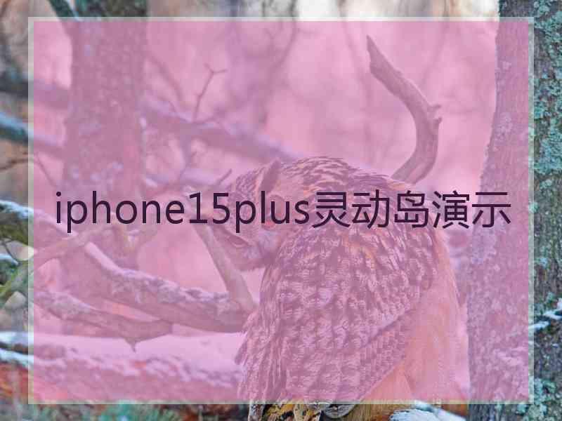 iphone15plus灵动岛演示