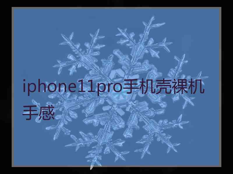 iphone11pro手机壳裸机手感