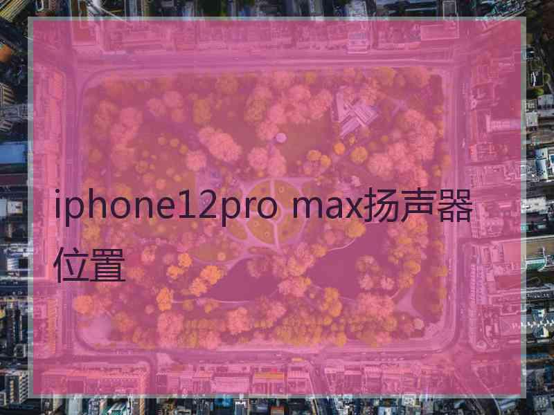 iphone12pro max扬声器位置