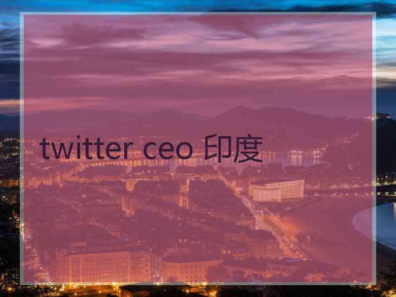 twitter ceo 印度