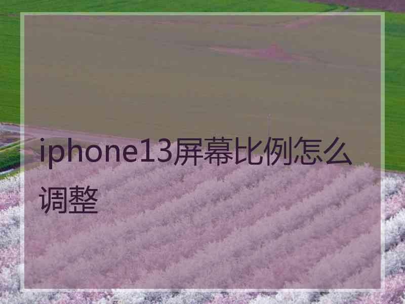 iphone13屏幕比例怎么调整