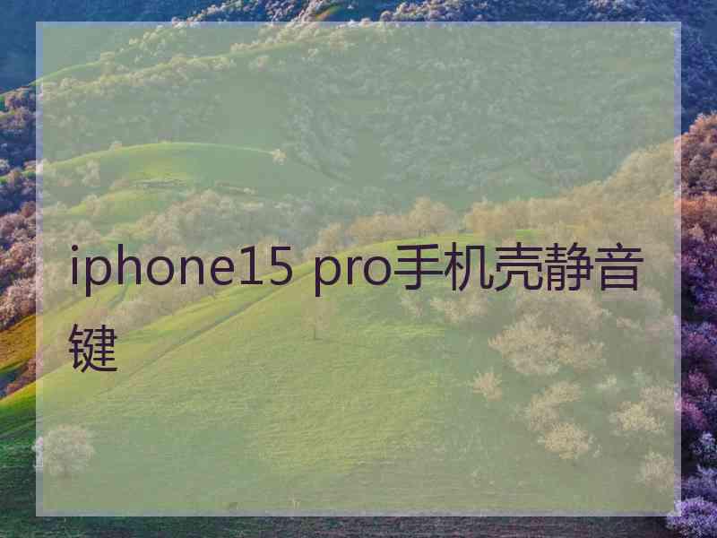 iphone15 pro手机壳静音键