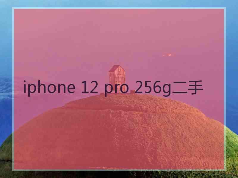 iphone 12 pro 256g二手