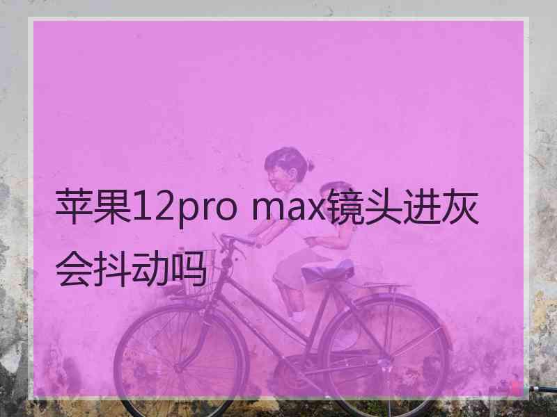 苹果12pro max镜头进灰会抖动吗