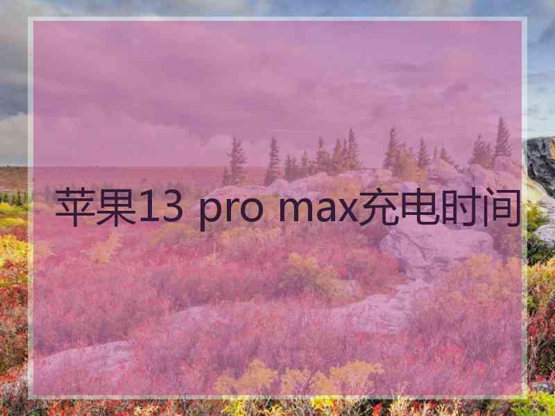 苹果13 pro max充电时间