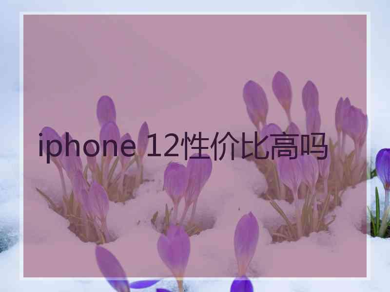 iphone 12性价比高吗