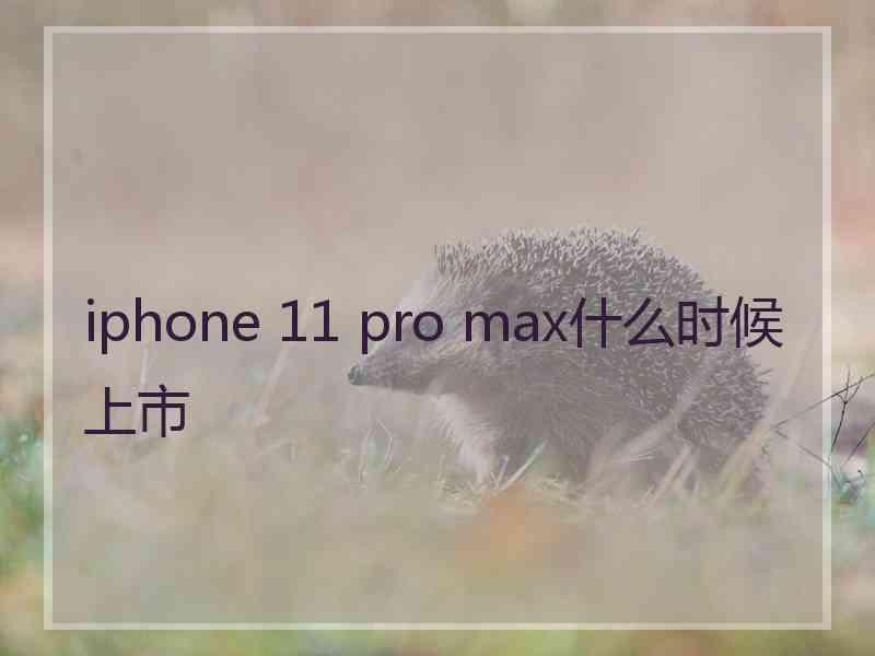 iphone 11 pro max什么时候上市