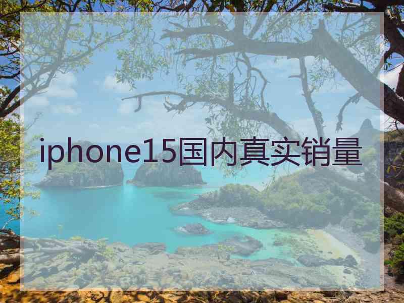 iphone15国内真实销量