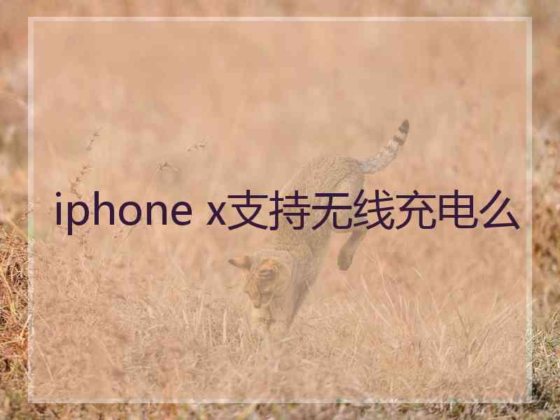 iphone x支持无线充电么