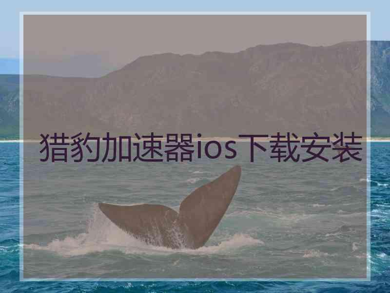 猎豹加速器ios下载安装