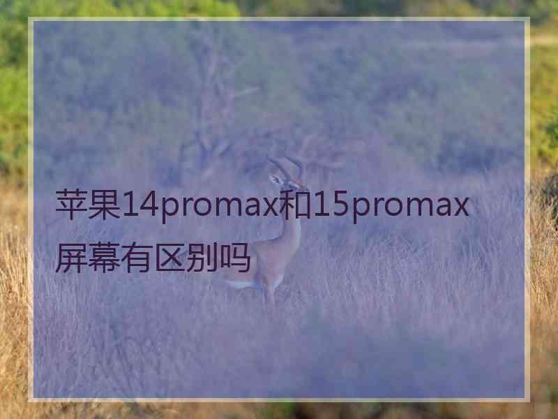 苹果14promax和15promax屏幕有区别吗