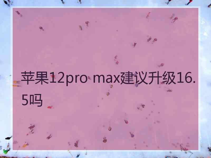 苹果12pro max建议升级16.5吗