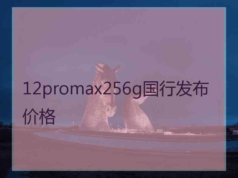 12promax256g国行发布价格