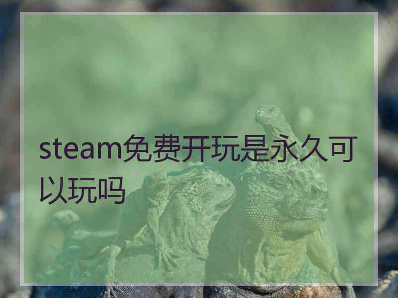 steam免费开玩是永久可以玩吗