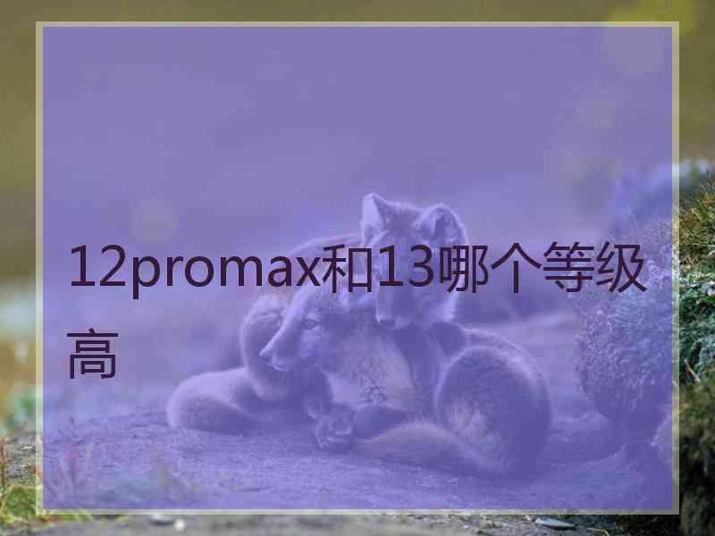 12promax和13哪个等级高